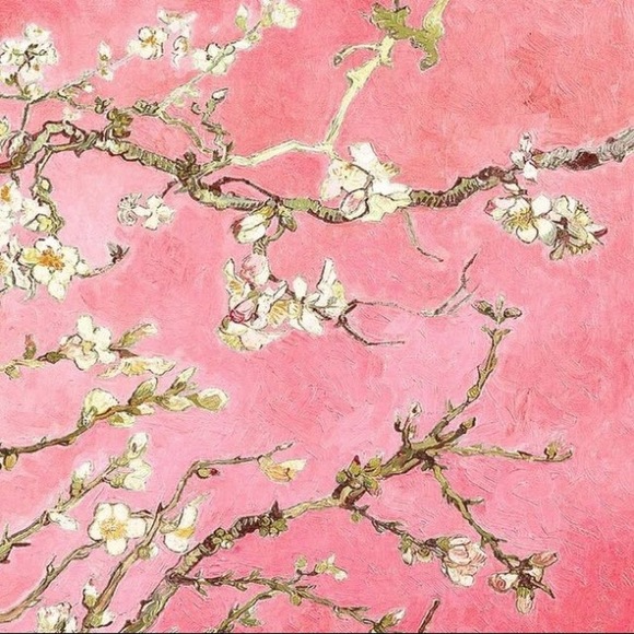 Meet your Posher, Analiese - Picture 1 of 1